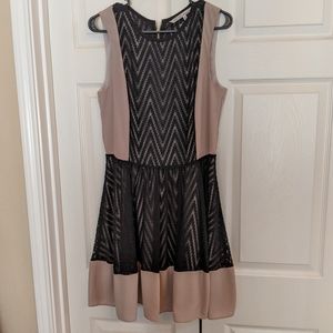 Rachel Roy Taupe Blush Dress with Black Lace Panel